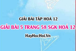 Giải bài 5 trang 58 SGK Hoá 12: Cấu tạo, tính chất hoá học của Amin, Amino Axit và Protein